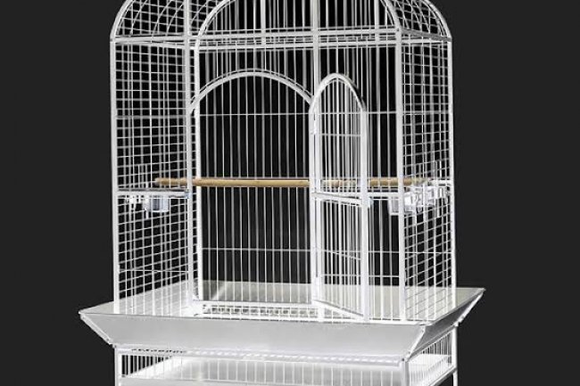 Kuşlarda Kafes Seçimi
