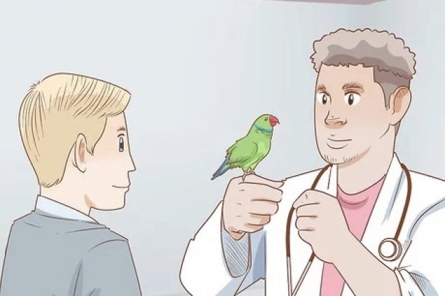 Kuşlarda İshal ve Tedavisi